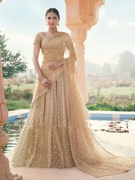 Beige Net Designer Lehenga Choli