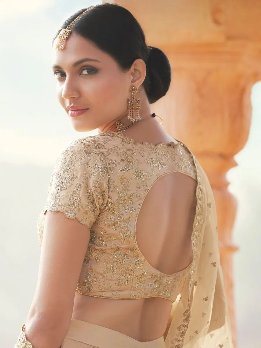 Beige Net Designer Lehenga Choli