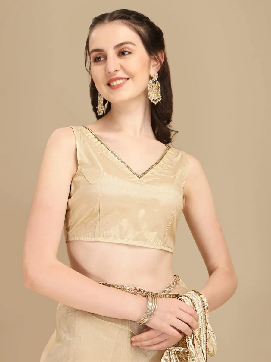 Beige Sequinned Net Saree