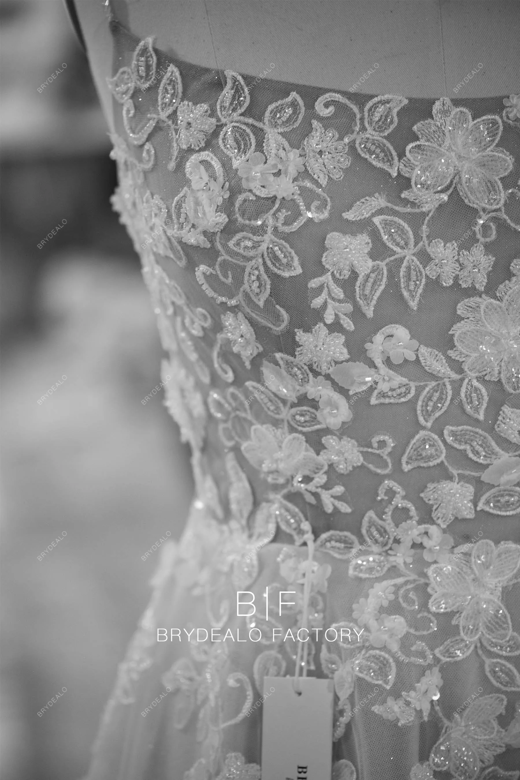 Long Train A-line Designer Lace Nude Beige Illusion Back Wedding Gown